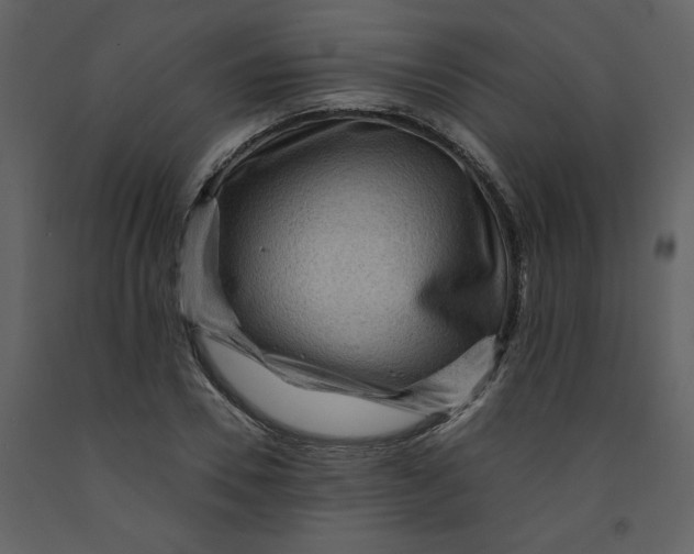 X0000093260930200710171445