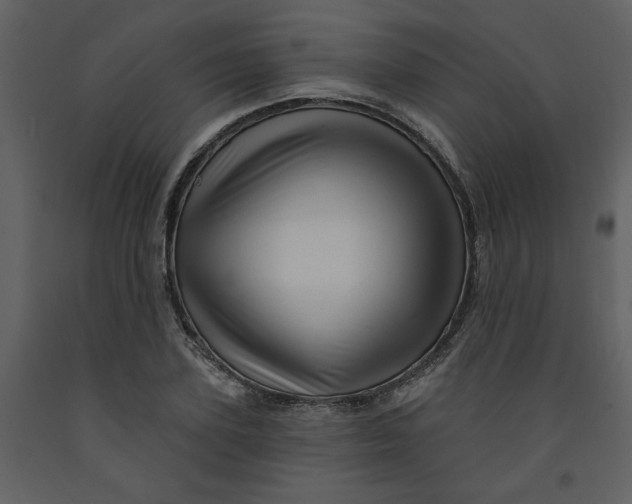 X0000093260931200710171445