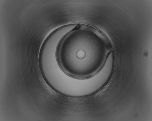 X0000093260932200710171445