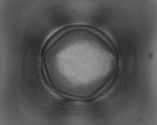 X0000093260933200710171445