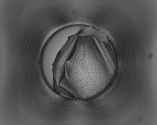 X0000093260934200710171445