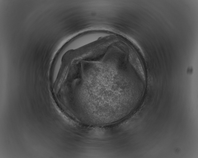 X0000093260935200710171445