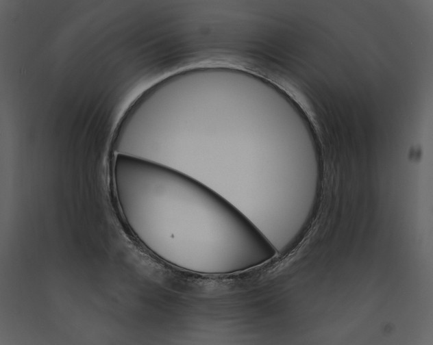 X0000093260936200710171445