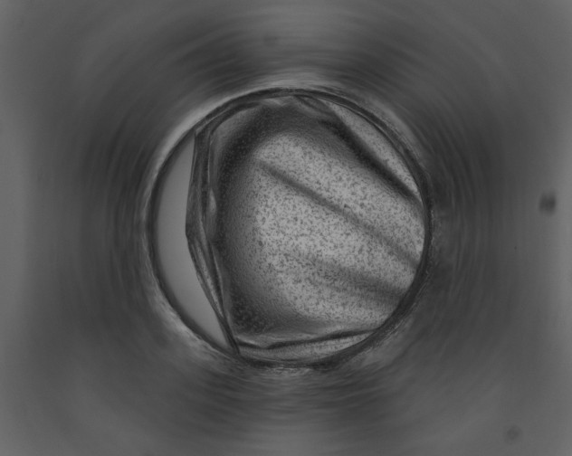 X0000093260939200710171445