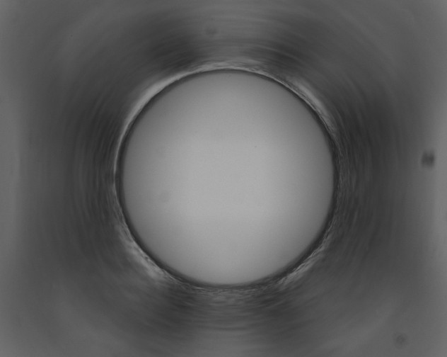 X0000093260940200710171445