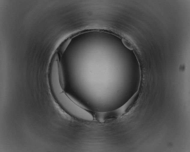 X0000093260942200710171445