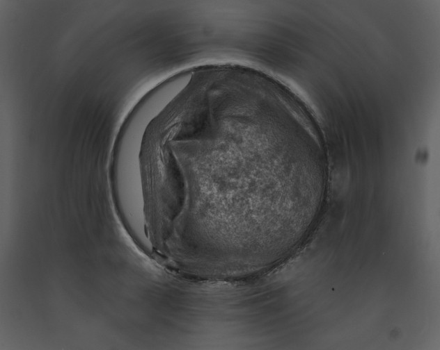 X0000093260943200710171445