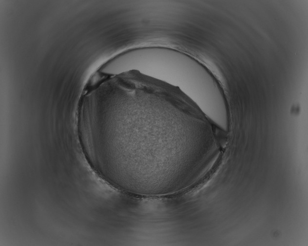 X0000093260944200710171445