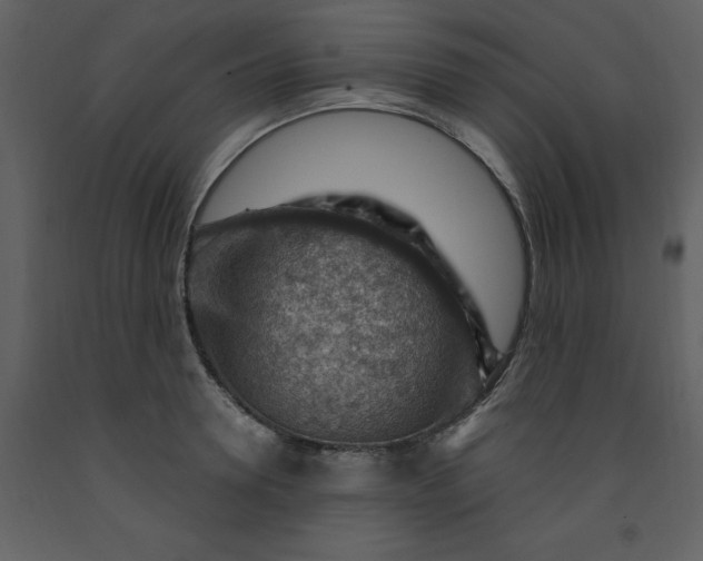 X0000093260946200710171446