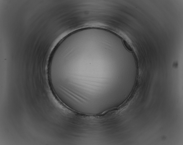 X0000093260947200710171446