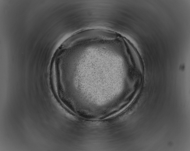 X0000093260949200710171446