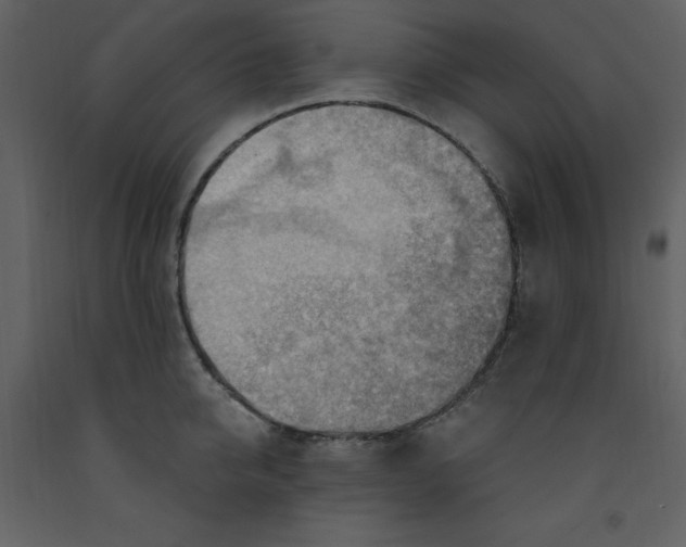 X0000093260950200710171446