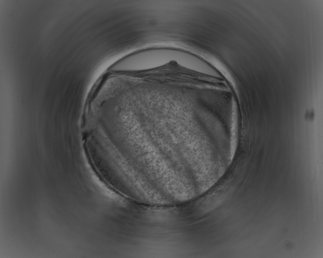 X0000093260951200710171446