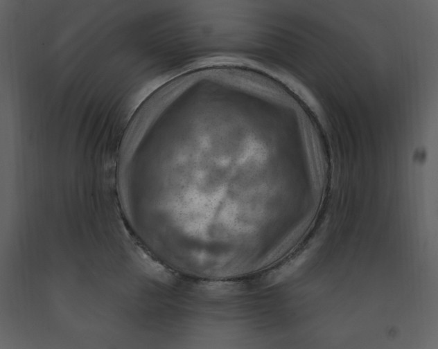 X0000093260953200710171446