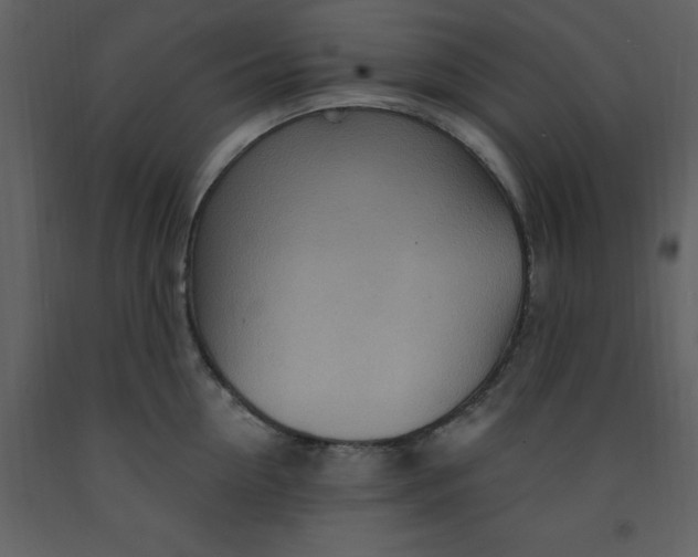 X0000093260954200710171446