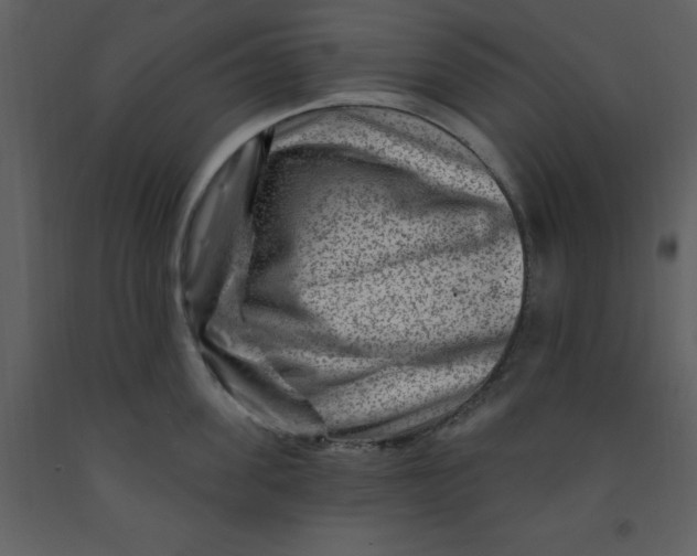 X0000093260955200710171446