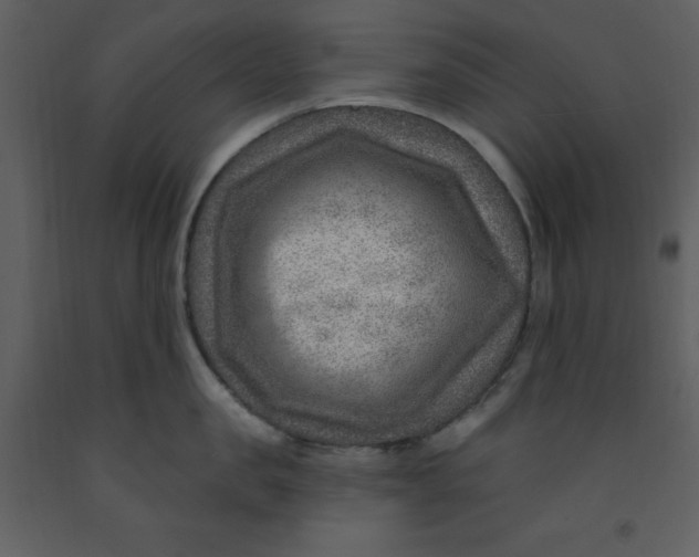 X0000093260957200710171446