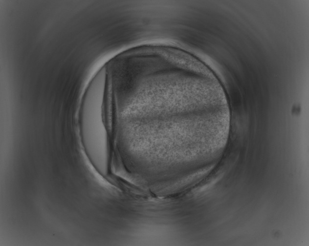 X0000093260959200710171446