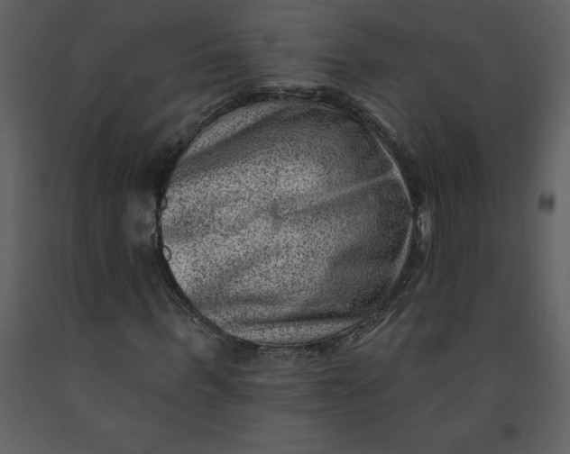 X0000093260963200710171445