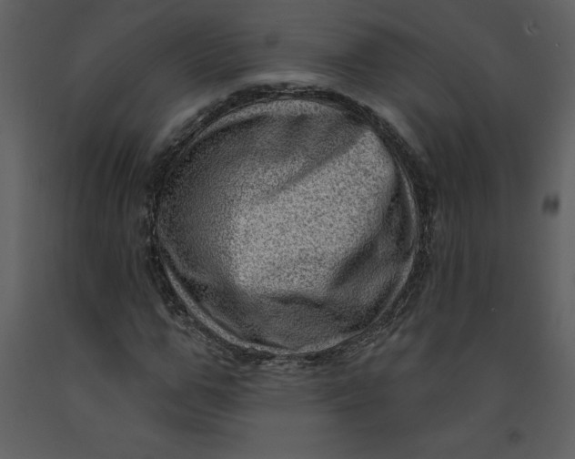 X0000093260967200710171445