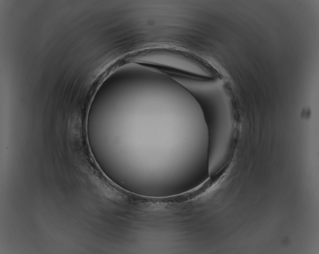 X0000093260969200710171445