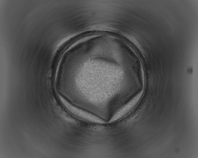 X0000093260971200710171445