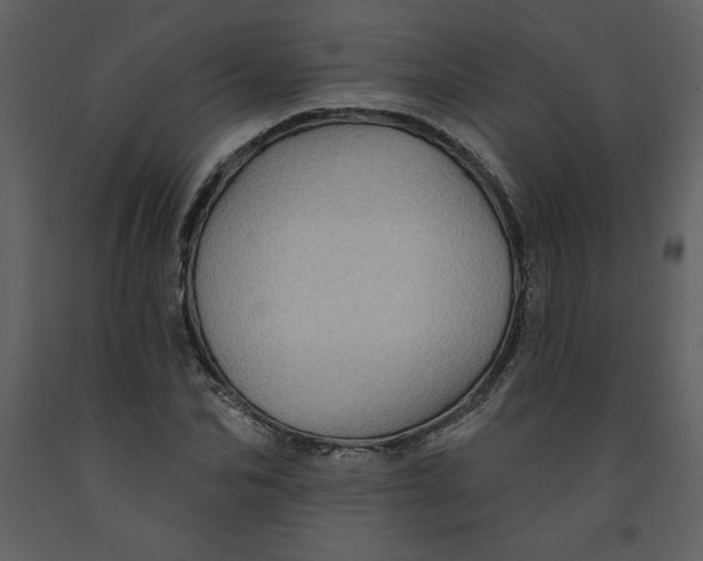 X0000093260974200710171445