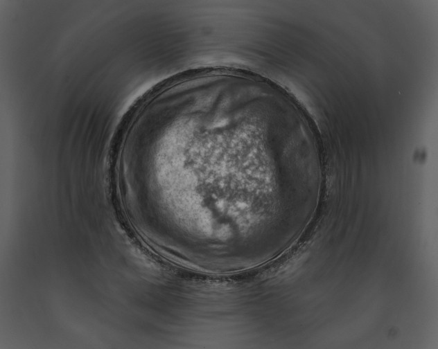 X0000093260975200710171445