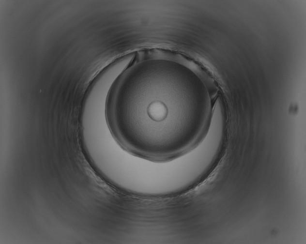 X0000093260977200710171445