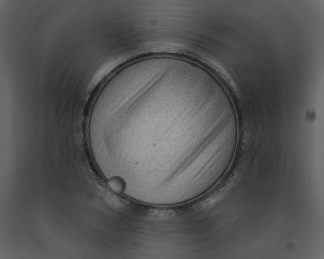 X0000093260978200710171445