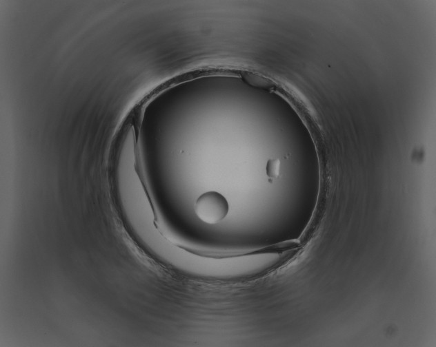 X0000093260981200710171445