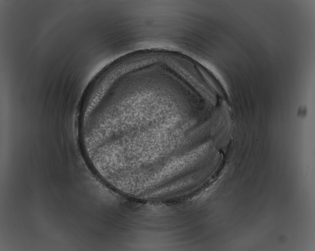 X0000093260983200710171445