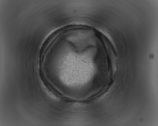 X0000093260984200710171445