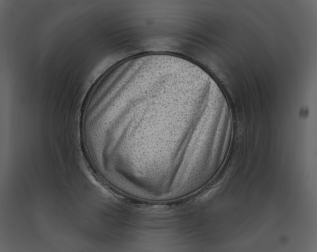 X0000093260986200710171445