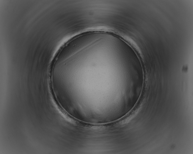 X0000093260989200710171445