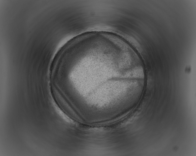 X0000093260990200710171445