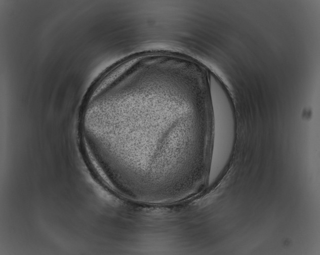 X0000093260991200710171445