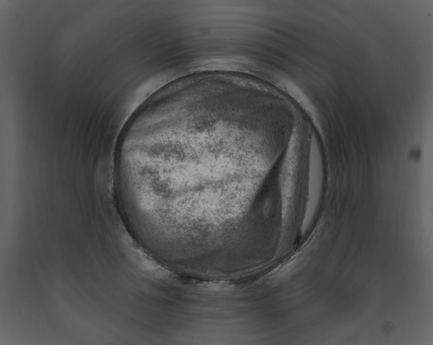 X0000093260994200710171445