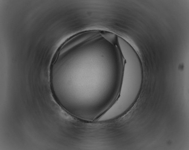 X0000093260996200710171445