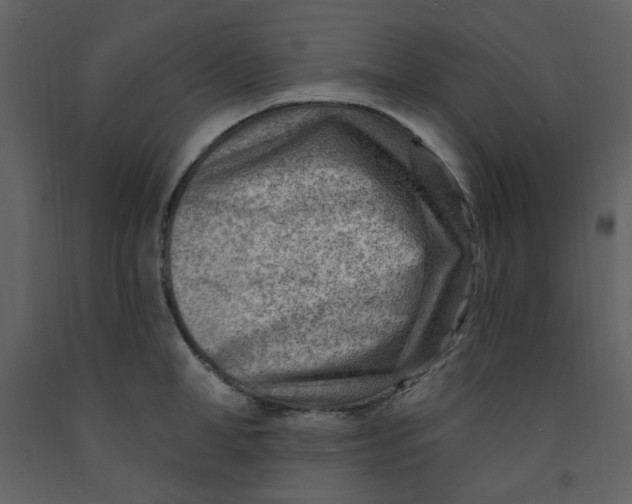 X0000093260998200710171445