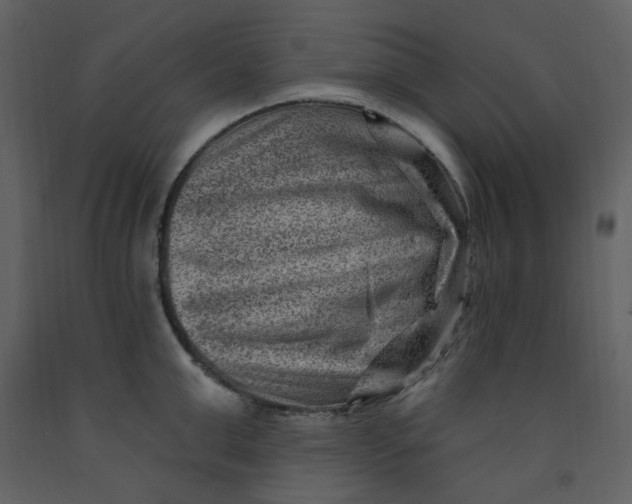 X0000093260999200710171445