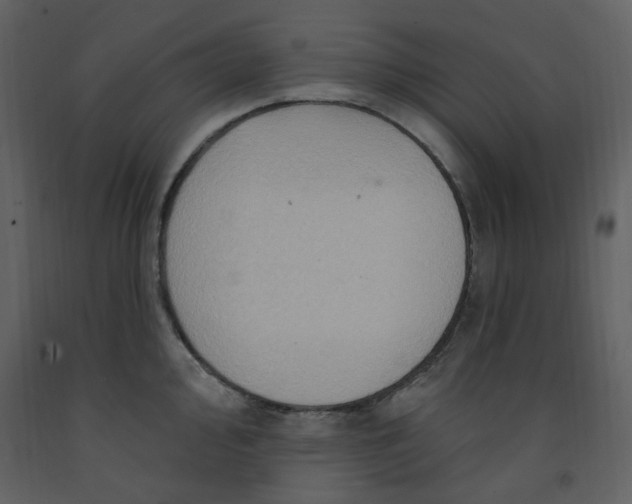 X0000093261000200710171445