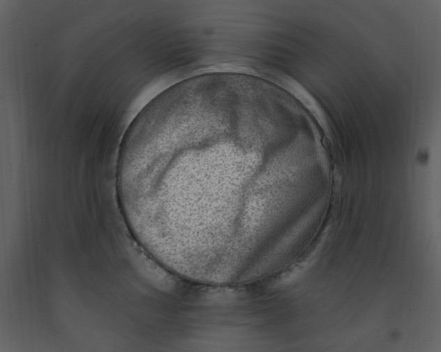 X0000093261002200710171444