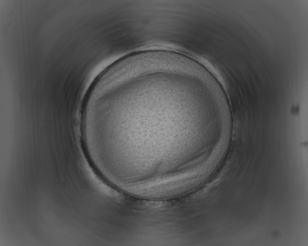 X0000093261003200710171444