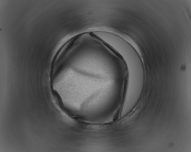 X0000093261005200710171444