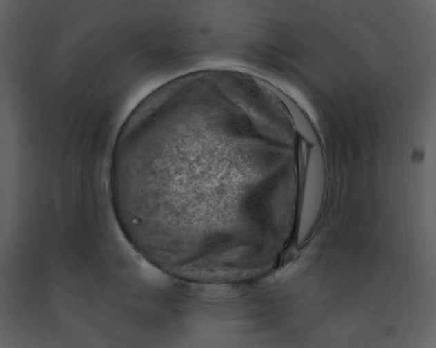 X0000093261007200710171444