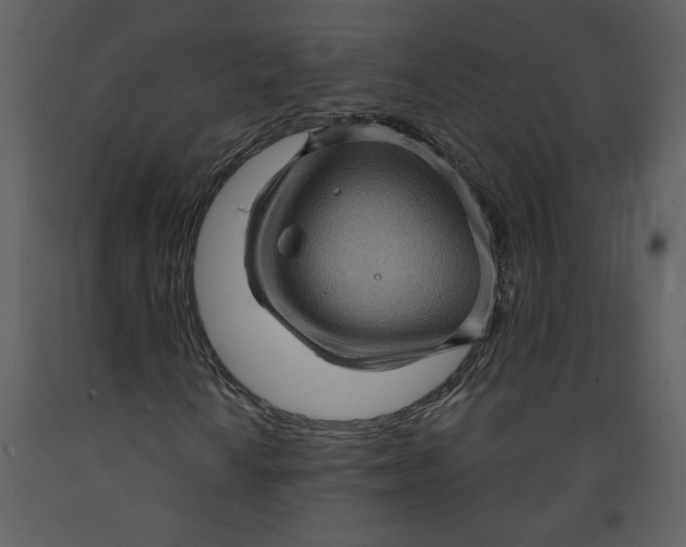 X0000093261010200710171444