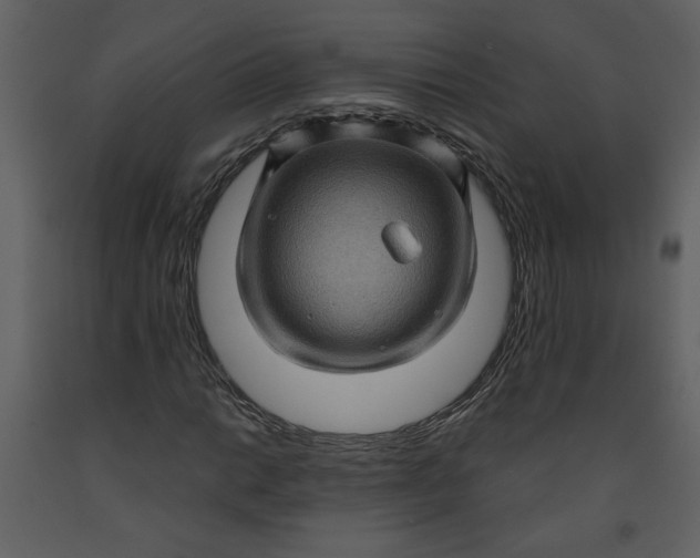 X0000093261014200710171444