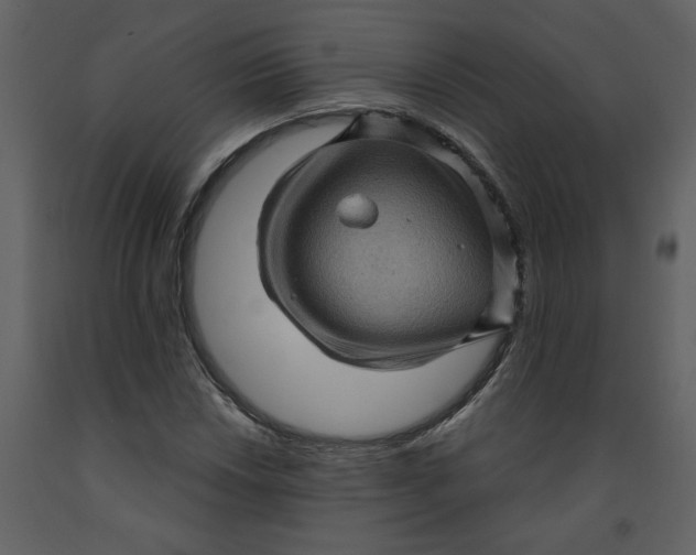 X0000093261018200710171444