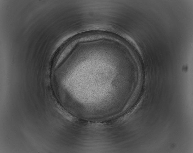 X0000093261019200710171444